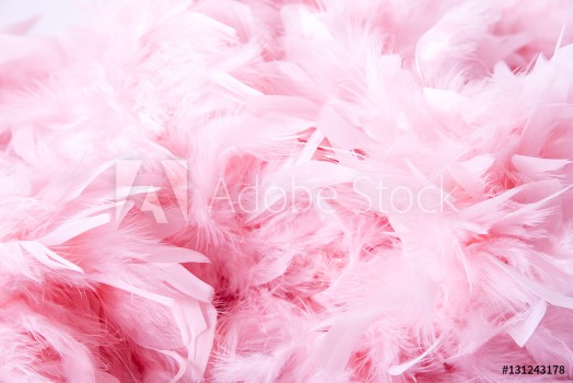 Picture of Pink soft feathers background